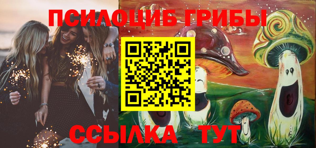 Дмитров  Галлюциногенные грибы мицелий  Вход с VPN 